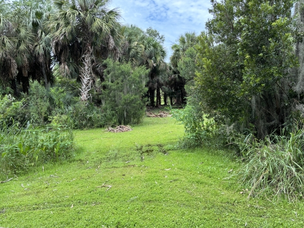 Listing Image #2 - Land for sale at 6001 Bird Island Dr, Lady Lake FL 32159 Listing Image #2 - Land for sale at 6001 Bird Island Dr, Lady Lake FL 32159