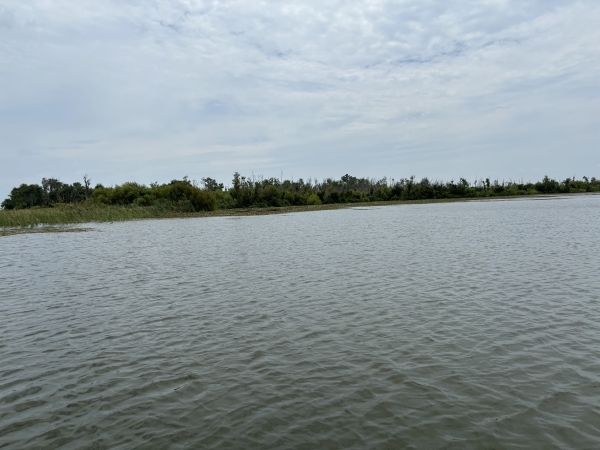 Listing Image #5 - Land for sale at 6001 Bird Island Dr, Lady Lake FL 32159 Listing Image #5 - Land for sale at 6001 Bird Island Dr, Lady Lake FL 32159