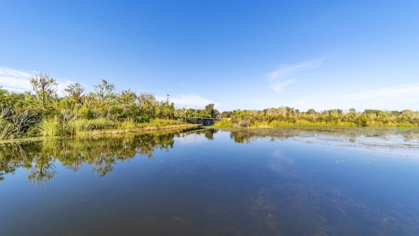 Listing Image #6 - Land for sale at 6001 Bird Island Dr, Lady Lake FL 32159 Listing Image #6 - Land for sale at 6001 Bird Island Dr, Lady Lake FL 32159