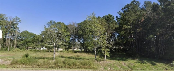 Listing Image #1 - Land for sale at TBD 1.477 Country Lane, Lumberton TX 77657 Listing Image #1 - Land for sale at TBD 1.477 Country Lane, Lumberton TX 77657