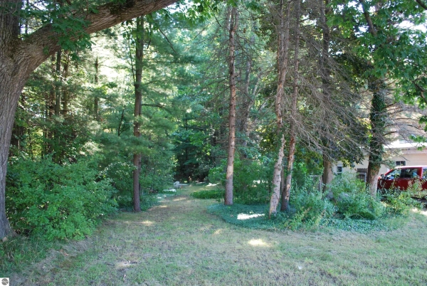 Listing Image #3 - Retail for sale at 2665 J Maddy Parkway, Interlochen MI 49643