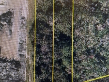 Land property for sale in Winter Garden, FL