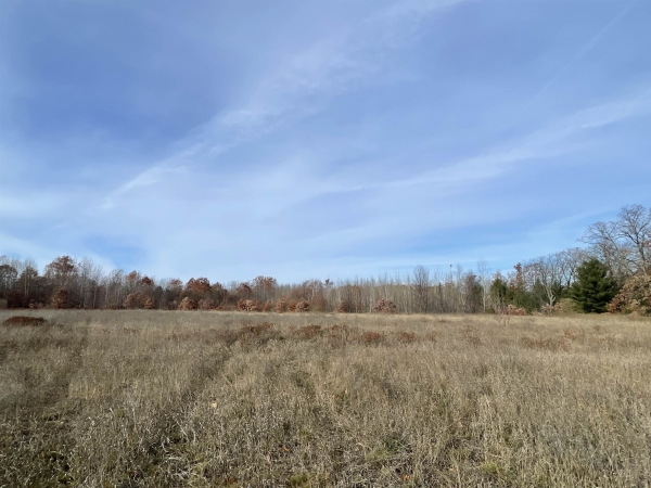Listing Image #3 - Others for sale at NHN N Clare, Harrison MI 48625