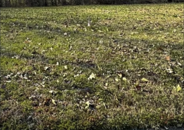 Listing Image #1 - Land for sale at 1517 Granger, Jonesboro AR 72405