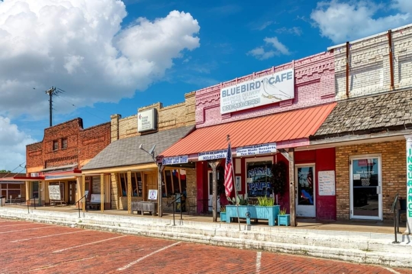 Listing Image #1 - Retail for sale at 124 W North Commerce, Wills Point TX 75169