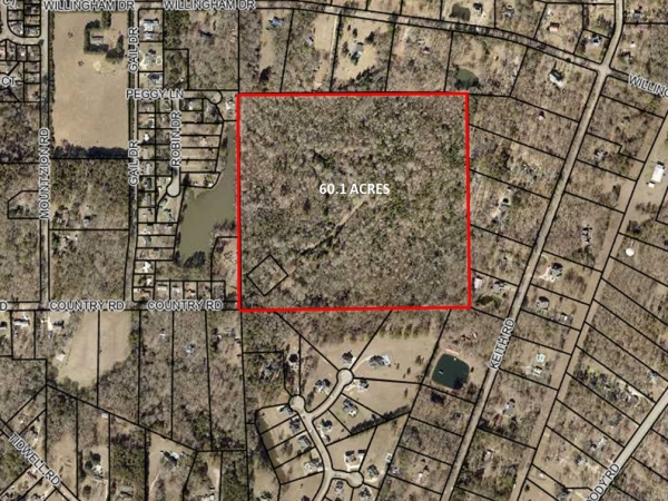 Listing Image #1 - Land for sale at 60.1 Acres Country Road, Bonaire GA 31005