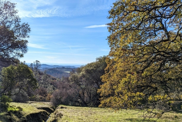 Listing Image #2 - Land for sale at 16241 Beyers, Grass Valley CA 95949