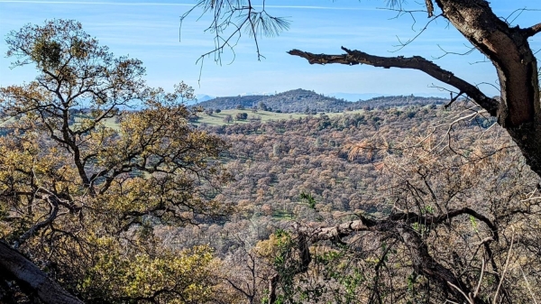 Listing Image #3 - Land for sale at 16241 Beyers, Grass Valley CA 95949