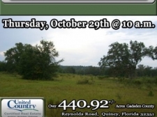 Listing Image #1 - Land for sale at Reynolds Road, Quincy FL 32351