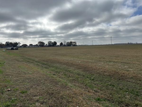 Listing Image #1 - Land for sale at 13.50 acres Highway 463, Bay AR 72411 Listing Image #1 - Land for sale at 13.50 acres Highway 463, Bay AR 72411