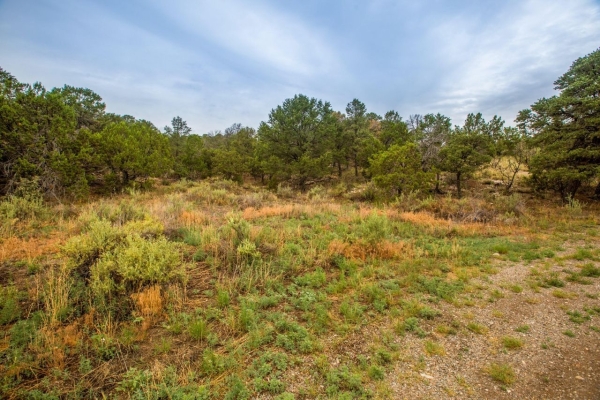 Listing Image #2 - Others for sale at 7 Vickie Court, Sandia Park NM 87047