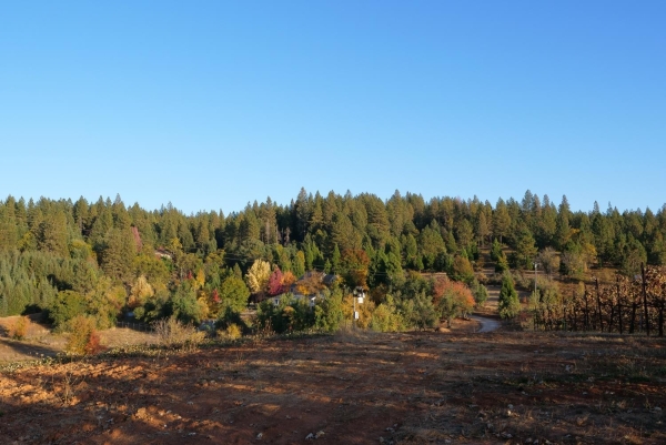 Listing Image #1 - Land for sale at 2635 Cleese Road, Camino CA 95709