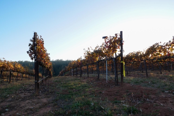 Listing Image #3 - Land for sale at 2635 Cleese Road, Camino CA 95709