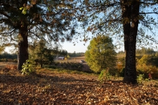 Listing Image #2 - Land for sale at 2635 Cleese Road, Camino CA 95709