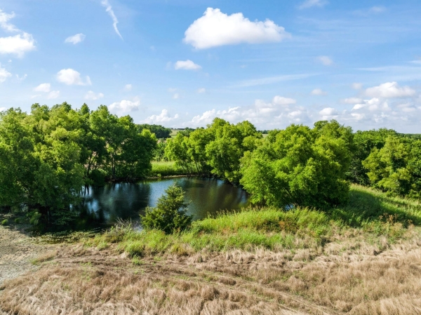 Listing Image #3 - Land for sale at 000 S Farm Road 196, Blossom TX 75416