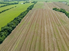 Listing Image #2 - Land for sale at 000 S Farm Road 196, Blossom TX 75416