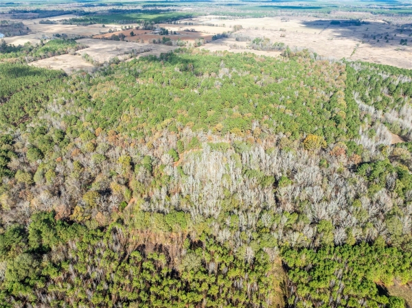 Listing Image #2 - Land for sale at 00 CR 2237, Bagwell TX 75412