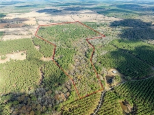 Land for sale in Bagwell, TX