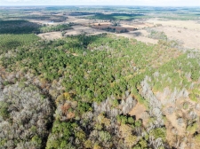 Listing Image #3 - Land for sale at 00 CR 2237, Bagwell TX 75412