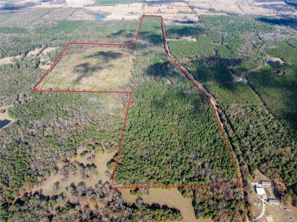 Listing Image #1 - Land for sale at 00 CR 2235, Bagwell TX 75412 Listing Image #1 - Land for sale at 00 CR 2235, Bagwell TX 75412