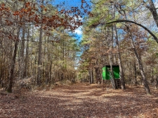 Listing Image #3 - Land for sale at 00 CR 2235, Bagwell TX 75412