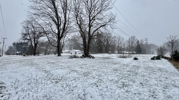 Listing Image #1 - Retail for sale at 6593 134th Avenue, Saugatuck MI 49453