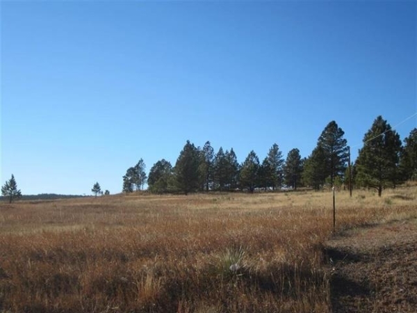 Listing Image #3 - Industrial for sale at TBD University Ave, Hot Springs SD 57747