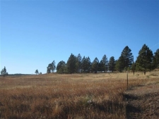 Listing Image #3 - Industrial for sale at TBD University Ave, Hot Springs SD 57747