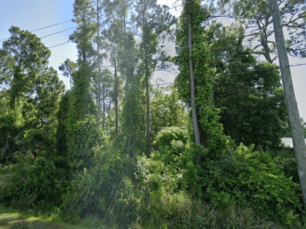Listing Image #3 - Others for sale at 0 Dobbs Rd, St Augustine FL 32086 Listing Image #3 - Others for sale at 0 Dobbs Rd, St Augustine FL 32086