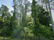 Listing Image #3 - Others for sale at 0 Dobbs Rd, St Augustine FL 32086