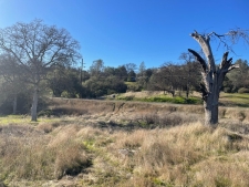 Listing Image #2 - Others for sale at 741 Long Hollow Drive, Coarsegold CA 93614