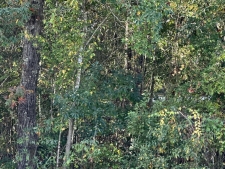 Land property for sale in Diamondhead, MS