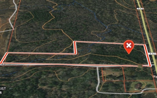 Listing Image #1 - Others for sale at 0 Fillmore Cemetery Road, Haughton LA 71037