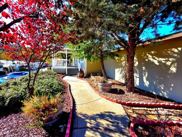 Listing Image #3 - Others for sale at 46041 Road 415 169, Coarsegold CA 93614 Listing Image #3 - Others for sale at 46041 Road 415 169, Coarsegold CA 93614