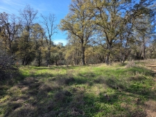 Listing Image #2 - Others for sale at 12 12.19 Ac Road 222, North Fork CA 93643