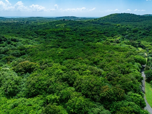 Listing Image #1 - Land for sale at 1-E River PR, St. Croix VI 00840 Listing Image #1 - Land for sale at 1-E River PR, St. Croix VI 00840