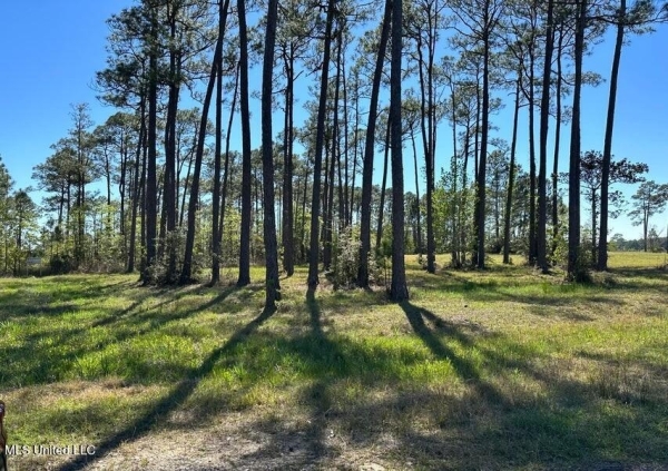 Listing Image #2 - Land for sale at 00 Hummingbird Lane, Biloxi MS 39532