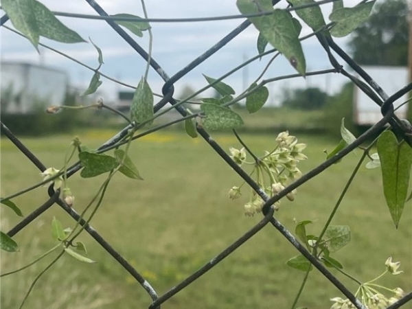 Listing Image #2 - Others for sale at 1220 S 6th Street, Fort Smith AR 72901 Listing Image #2 - Others for sale at 1220 S 6th Street, Fort Smith AR 72901