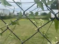 Listing Image #2 - Others for sale at 1220 S 6th Street, Fort Smith AR 72901