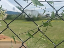 Listing Image #3 - Others for sale at 1220 S 6th Street, Fort Smith AR 72901