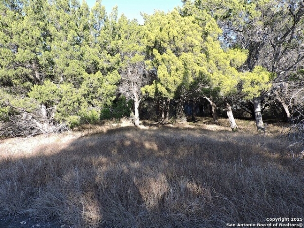 Listing Image #1 - Others for sale at LOT 11 Elm St, Schertz TX 78154 Listing Image #1 - Others for sale at LOT 11 Elm St, Schertz TX 78154