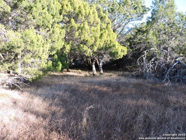 Listing Image #3 - Others for sale at LOT 11 Elm St, Schertz TX 78154 Listing Image #3 - Others for sale at LOT 11 Elm St, Schertz TX 78154