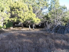 Listing Image #2 - Others for sale at LOT 11 Elm St, Schertz TX 78154