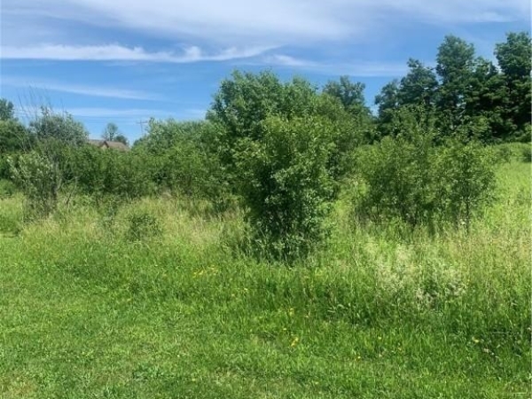 Listing Image #1 - Land for sale at Kingfisher Lane, New Hartford NY 13413 Listing Image #1 - Land for sale at Kingfisher Lane, New Hartford NY 13413