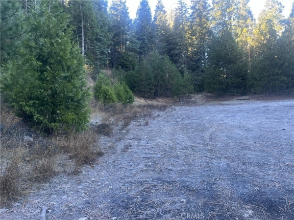 Listing Image #2 - Others for sale at 27403 State Highway 189, Blue Jay CA 92317 Listing Image #2 - Others for sale at 27403 State Highway 189, Blue Jay CA 92317