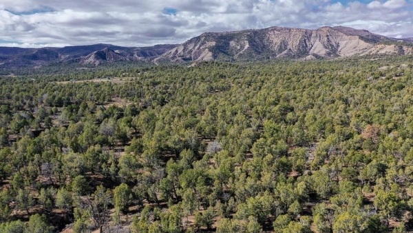 Listing Image #1 - Land for sale at TBD Green Shadows Road, Durango CO 81303