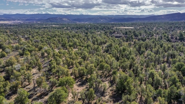 Listing Image #3 - Land for sale at TBD Green Shadows Road, Durango CO 81303