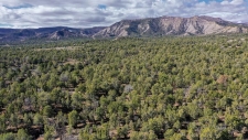 Land property for sale in Durango, CO