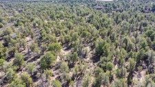 Listing Image #2 - Land for sale at TBD Green Shadows Road, Durango CO 81303