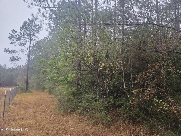 Listing Image #2 - Land for sale at E Lake Cypress Drive, Perkinston MS 39573 Listing Image #2 - Land for sale at E Lake Cypress Drive, Perkinston MS 39573